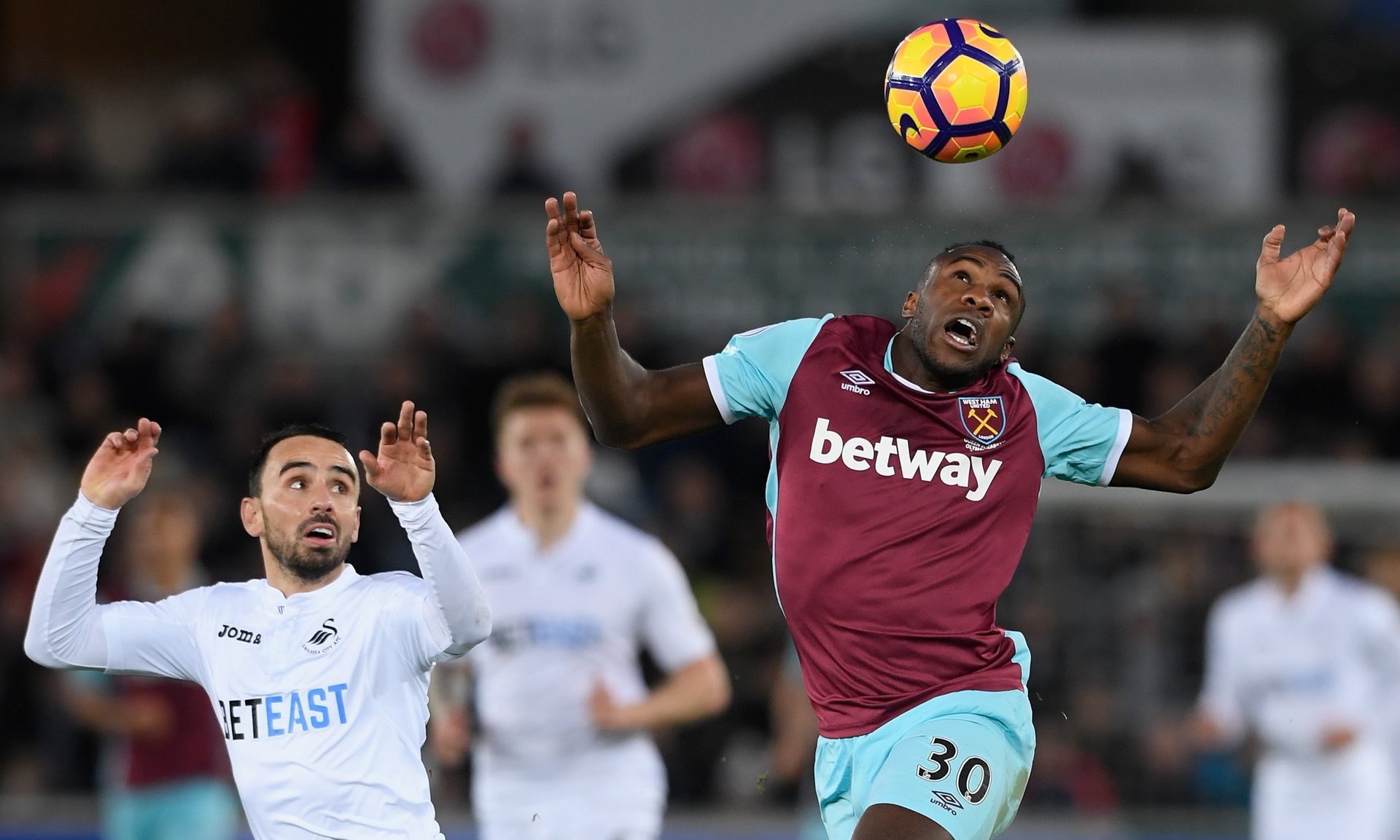 穆斯卡特 穆斯卡特